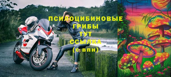 прущая мука Надым